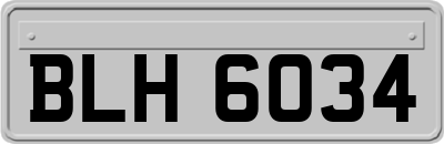 BLH6034
