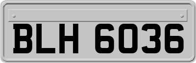 BLH6036