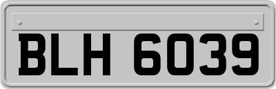 BLH6039