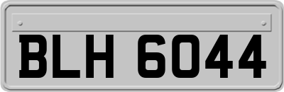 BLH6044