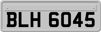 BLH6045