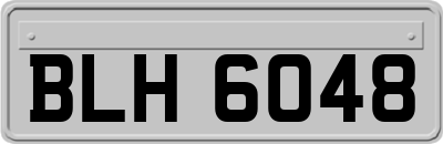 BLH6048