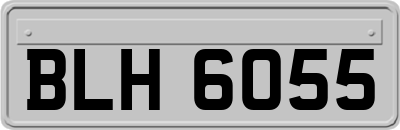 BLH6055