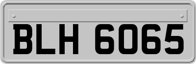 BLH6065