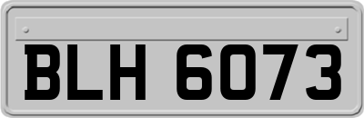 BLH6073