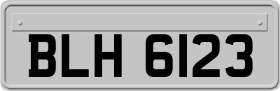 BLH6123