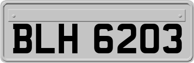 BLH6203