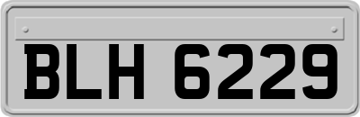 BLH6229