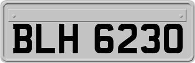 BLH6230