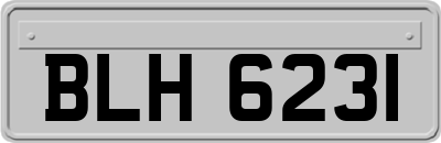 BLH6231