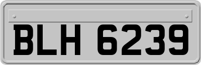 BLH6239