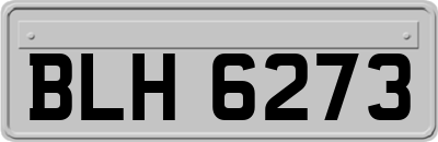 BLH6273