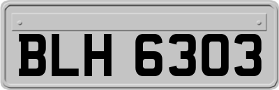 BLH6303