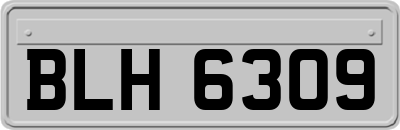 BLH6309