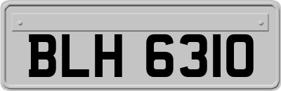 BLH6310
