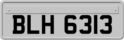 BLH6313