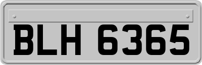 BLH6365
