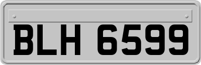 BLH6599