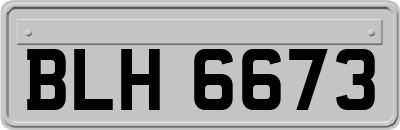BLH6673