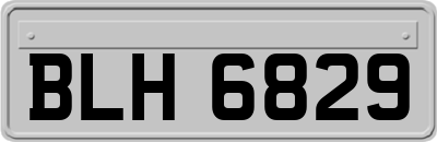 BLH6829