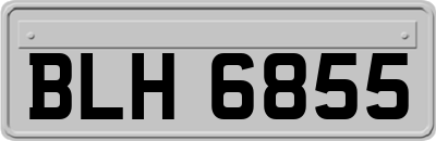 BLH6855