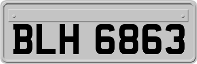 BLH6863