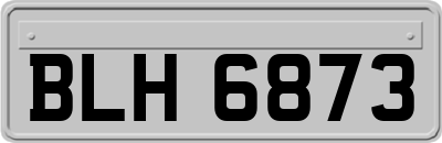 BLH6873