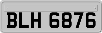 BLH6876