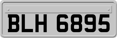 BLH6895