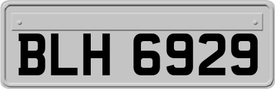 BLH6929