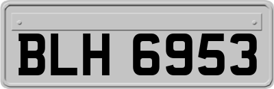 BLH6953