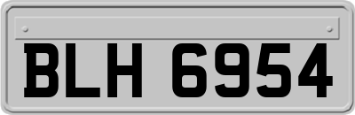 BLH6954