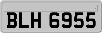 BLH6955