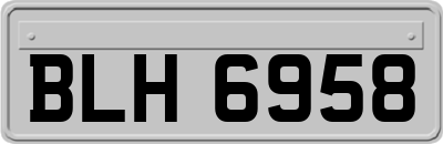 BLH6958