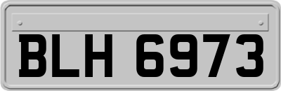 BLH6973