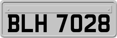 BLH7028