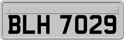 BLH7029