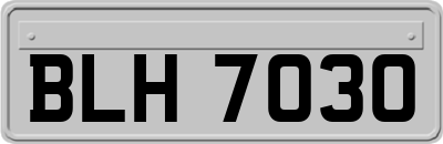 BLH7030
