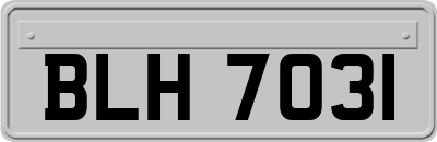 BLH7031