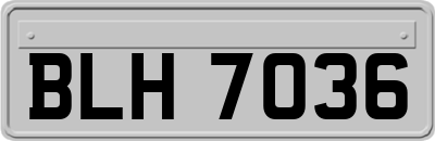 BLH7036