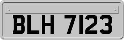 BLH7123