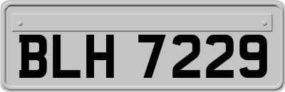BLH7229