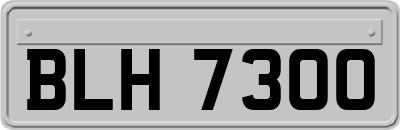 BLH7300