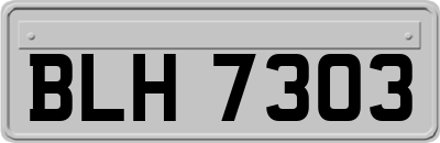 BLH7303
