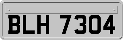 BLH7304