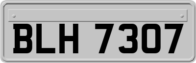 BLH7307