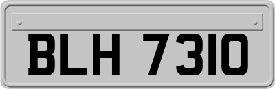 BLH7310