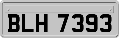 BLH7393