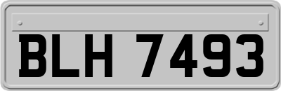 BLH7493