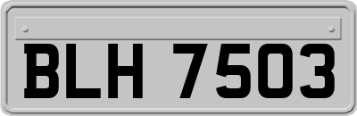 BLH7503